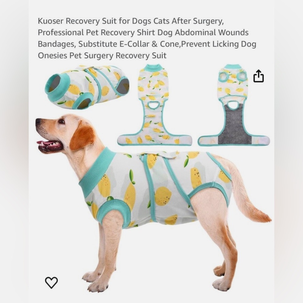 Kuoser Lemon Print Dog Recovery Suit